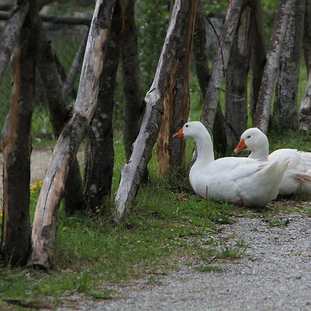 Albergo Lago Verde 페나빌리 외부 사진