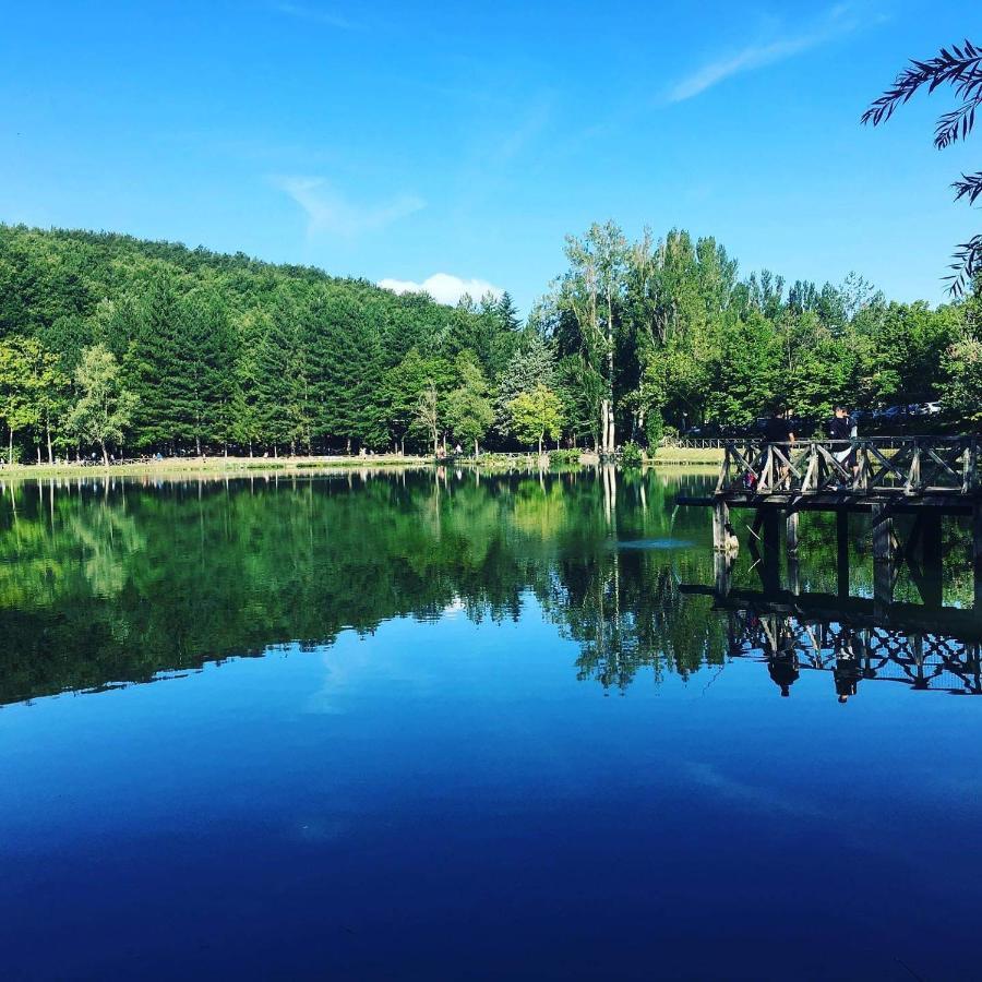 Albergo Lago Verde 페나빌리 외부 사진