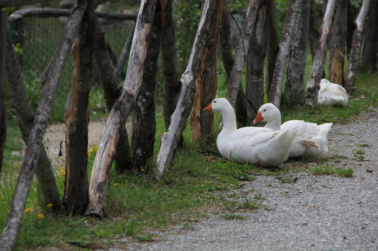 Albergo Lago Verde 페나빌리 외부 사진